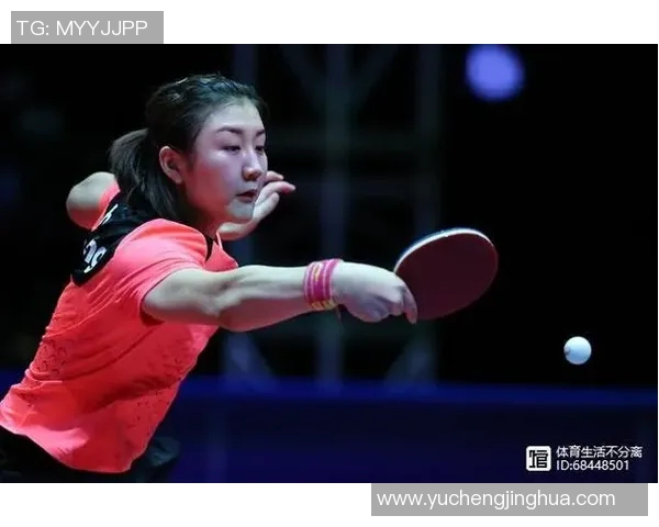 杭州排球队快攻战术解析与实战应用探讨