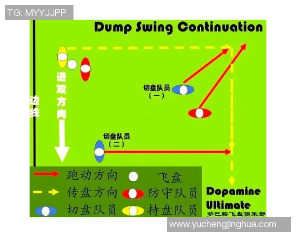 深入分析北京飞盘队防守反击战术的独特魅力与实战应用