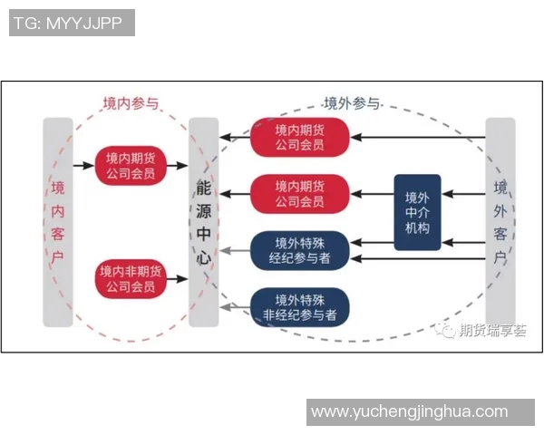 独家解析:WE力量对比及其在市场中的影响力分析