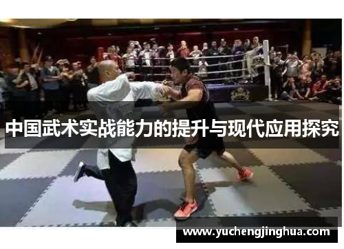 中国武术实战能力的提升与现代应用探究