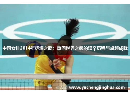 中国女排2014年辉煌之路：重回世界之巅的艰辛历程与卓越成就